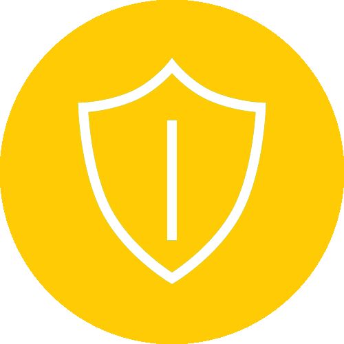 Public Safety and Violence Prevention